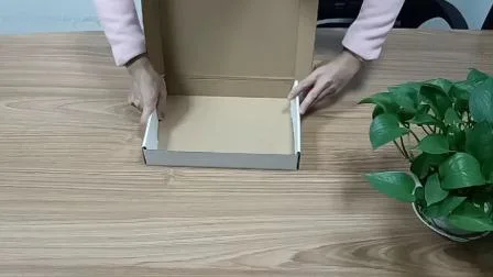 カスタムロゴ付きの卸売カスタム印刷されたユニークな段ボール配送用ボックス